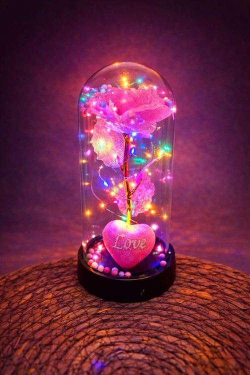 Gül Işıklı Led Fanus - Pembe