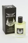 Pegasus One Champion Bay Parfüm - Siyah